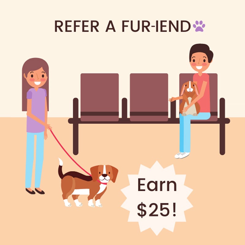 Refer a Furiend Refer a Furiend Graphic